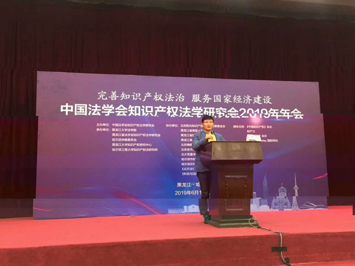 李揚教授在中國法學會知識産權法學研究會2019年年會上演講